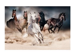 Картина Signal HORSES 120×80